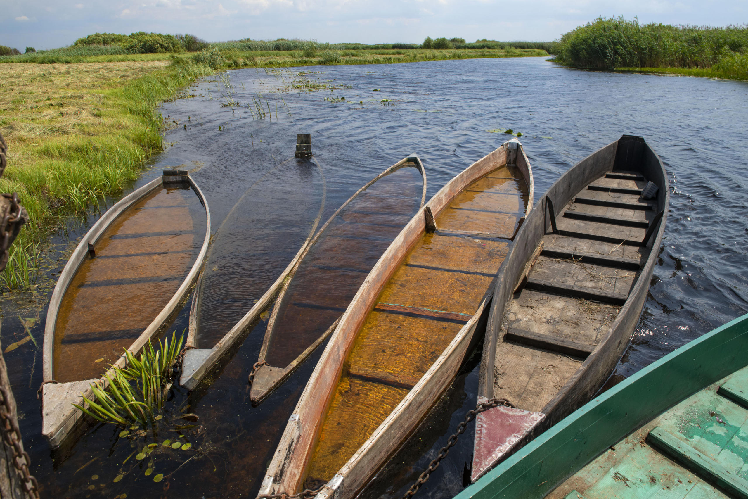 Водяная 40