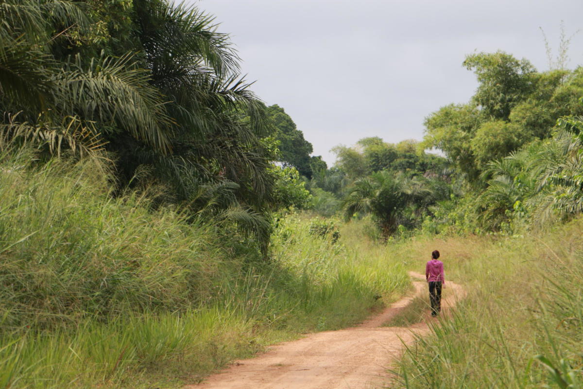Lomami National Park Frankfurt Zoological Society