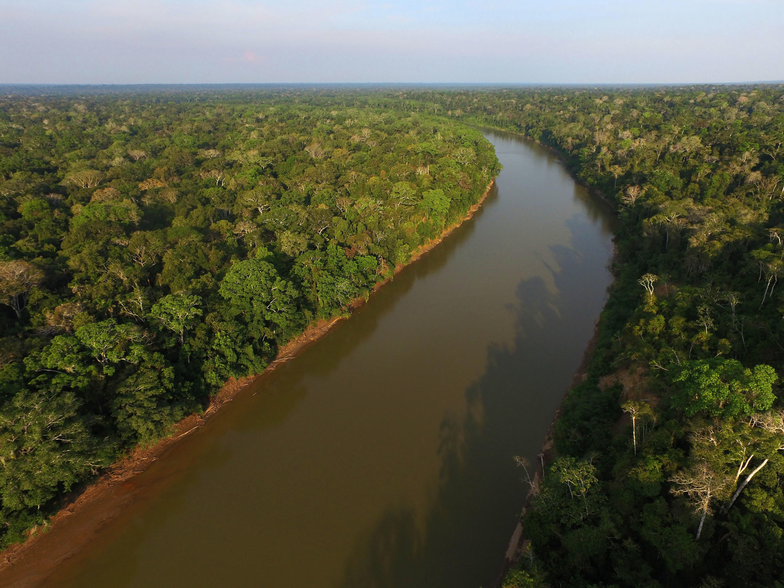 Der Manú-Fluss ist namensgebend für den Manú-Nationalpark und prägt das Landschaftsbild.
