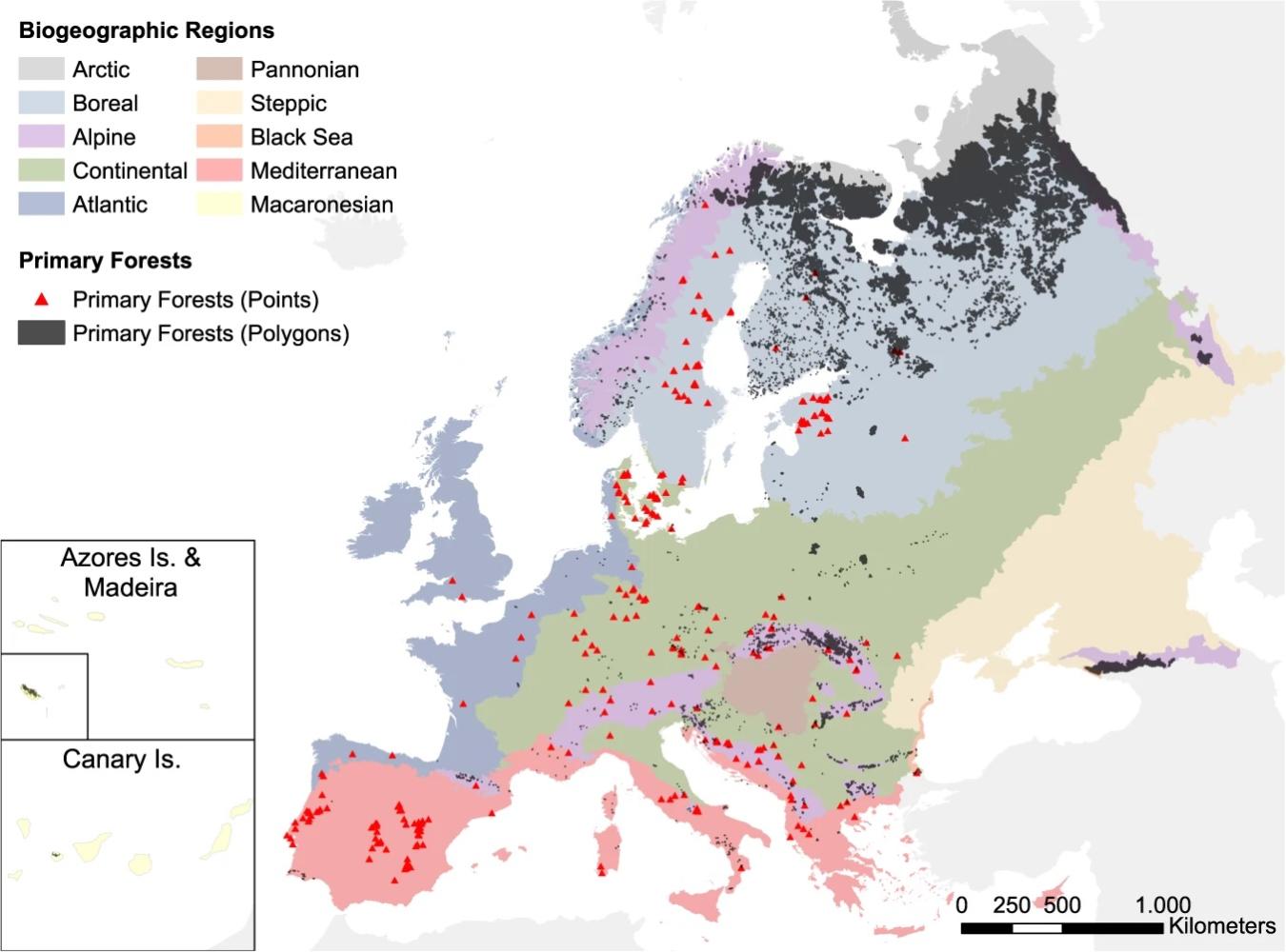 Map Of Primary Forests In Europe 1350x1000 