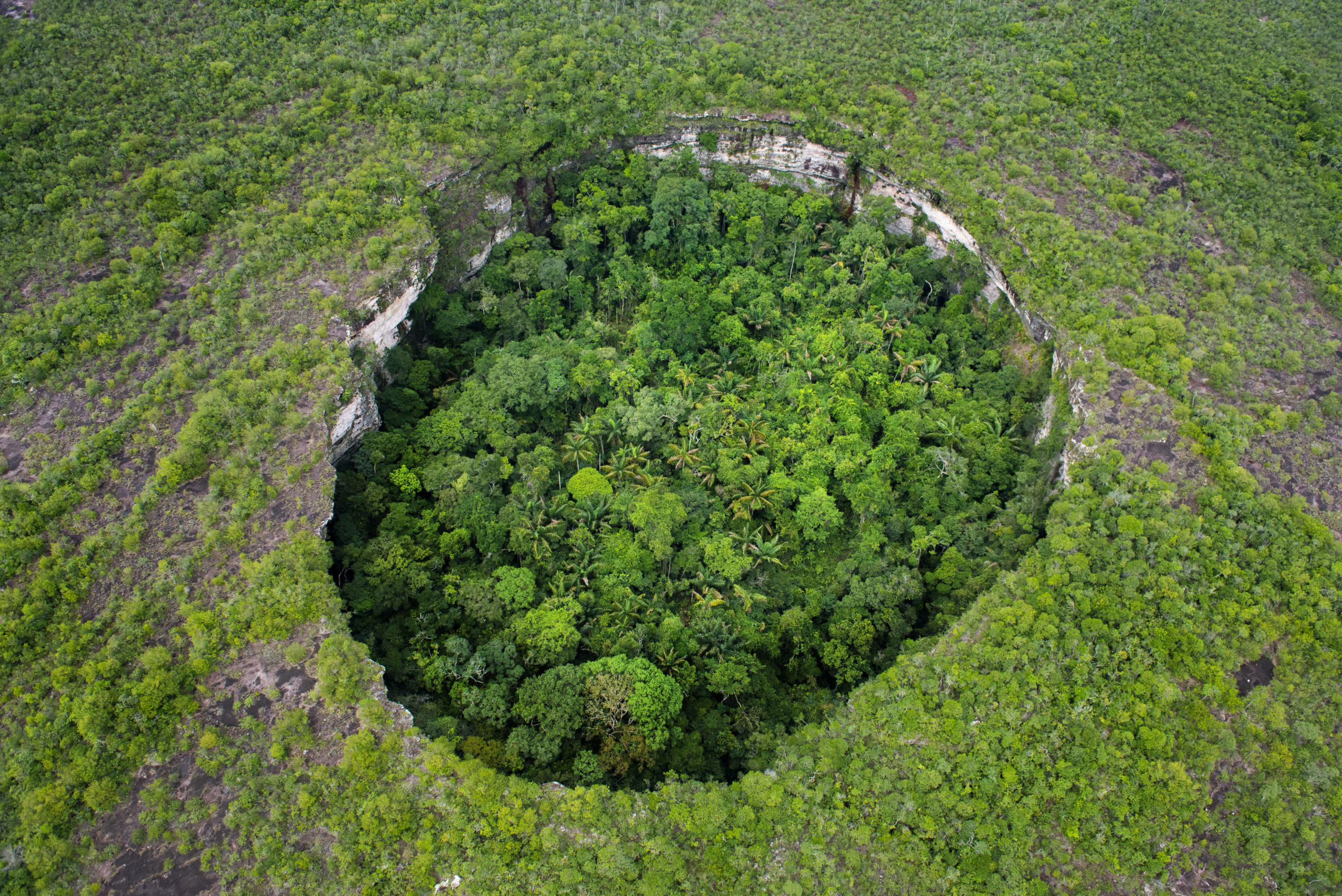 Loch im Boden in Guyana - Daniel Rosengren