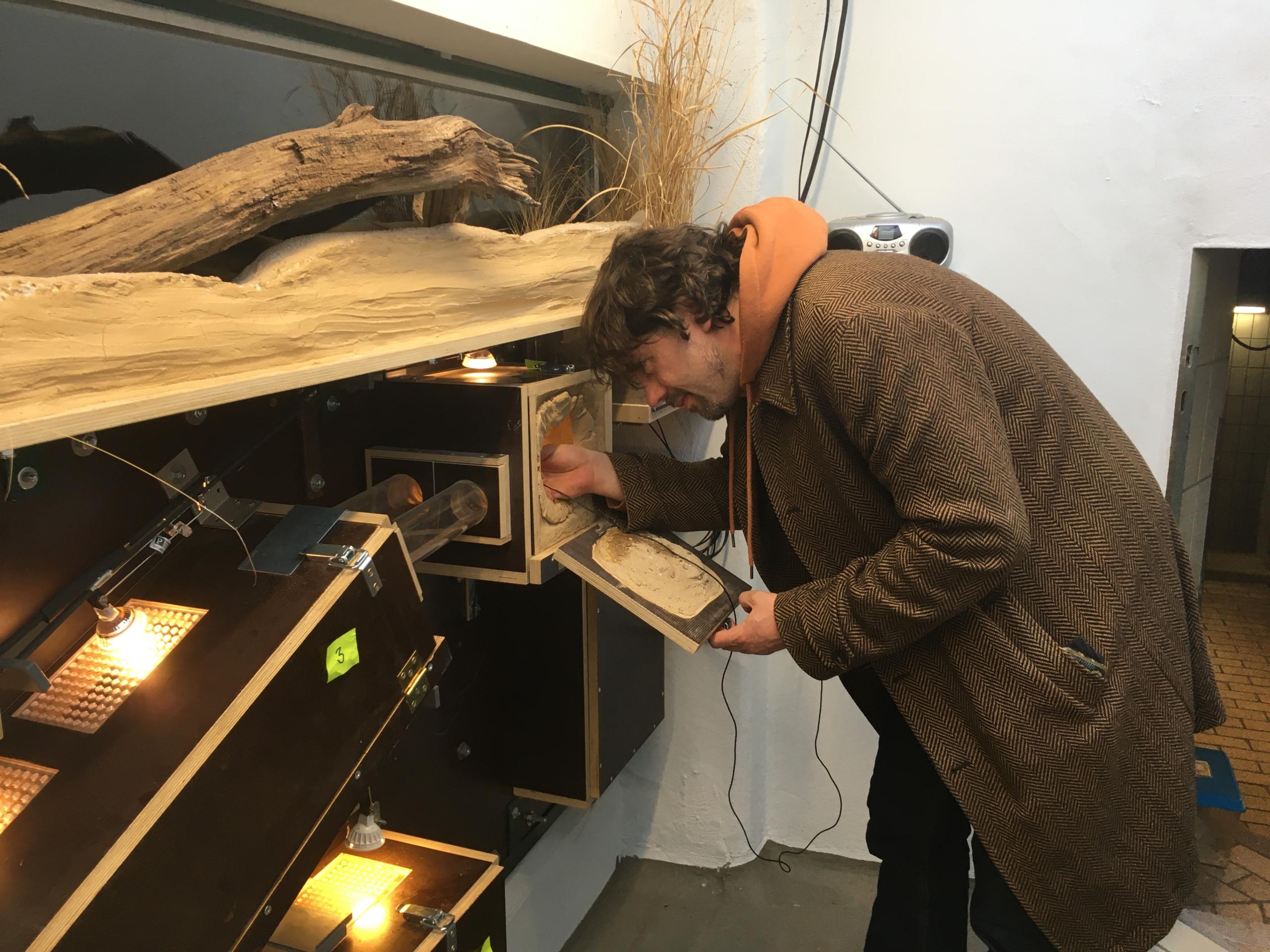 Kurator Johannes Köhler kontrolliert eine der Nacktmullboxen und macht Tonaufnahmen der Tiere. Am Deckel ist zu sehen, dass auch die Rückseiten der Boxen gestaltet sind, um die Illusion von Besucherseite aus zu vervollkommnen. 