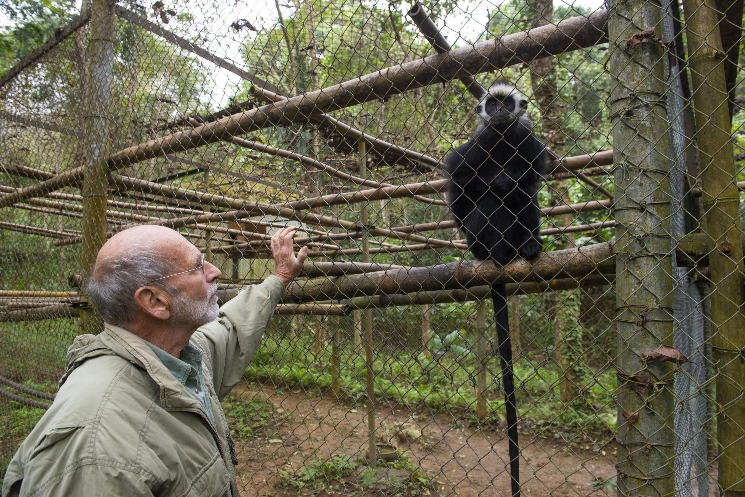 Tilo Nadler, geboren 1942 in Dresden, hat den Schutz von Primaten in Vietnam stark geprägt. Er lebt und arbeitet weiterhin in dem südostasiatischen Land, zusammen mit seiner Familie. Hier ist er im EPRC mit einem Delacour-Languren zu sehen, der Affenart, die ihn ursprünglich nach Vietnam zog.