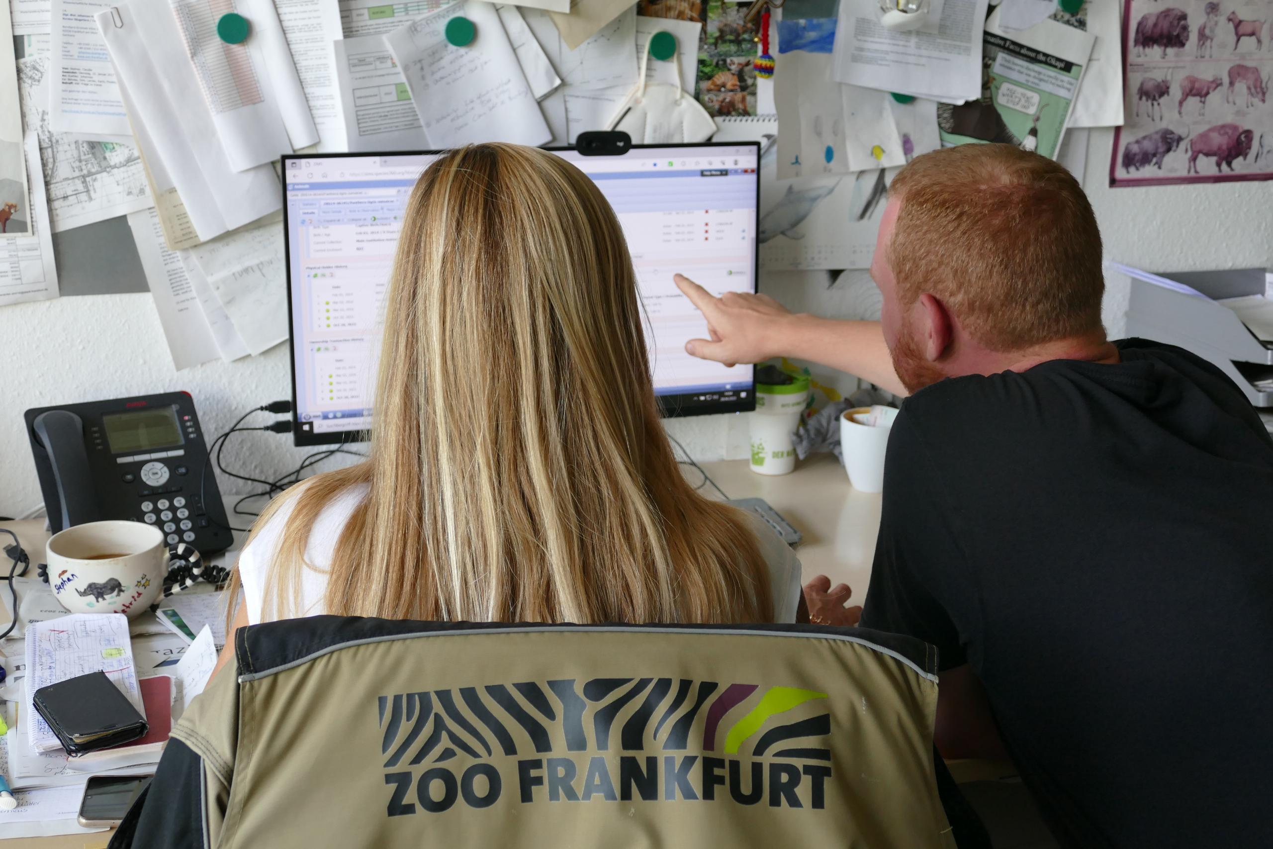 Sabrina und Marco stöbern in der digitalen Tierkartei des Zoos, in ZIMS. 