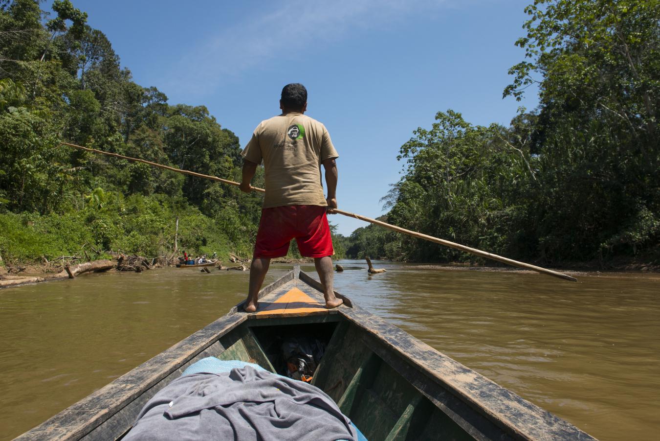 Eustauqio Cahuaniri standing in the front of the boat helping to navigate it through the difficult shallow waters of the river Yomibato with a long stick. Manu NP, Peru.