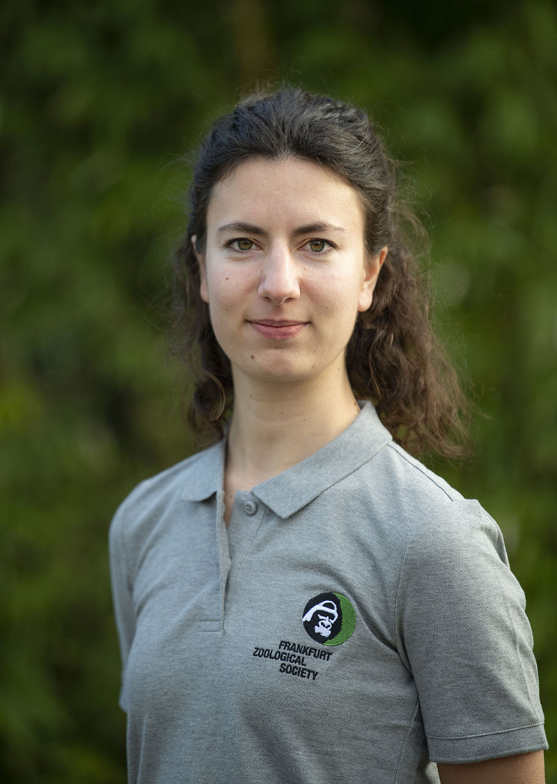 Anne Dohrmann, ZGF