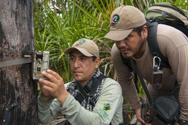 FZS staff Danilo Jordán (left) and Kevin Ibariez checking a camera trap on Pampas del Heath, Bahuaja Sonene NP, Peru.