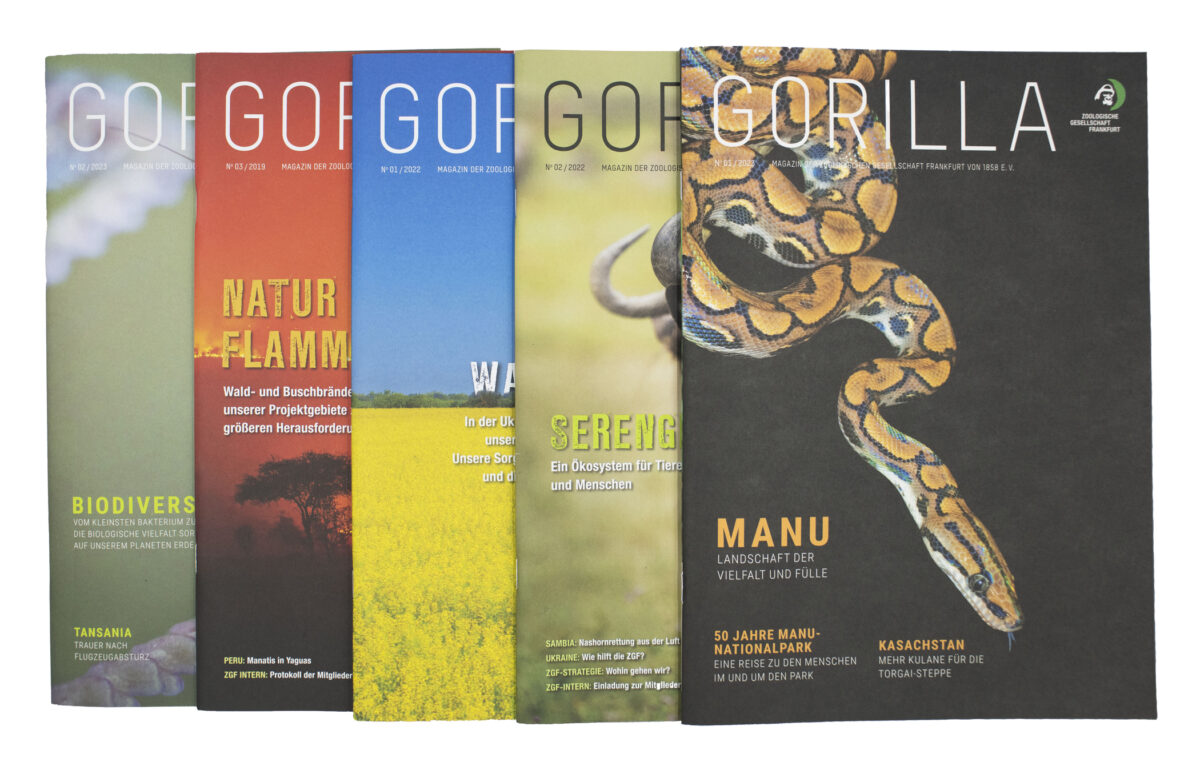 GORILLA-Magazine aufgereiht - Titelbild Naturschutz Projektgebiete Biodiversität