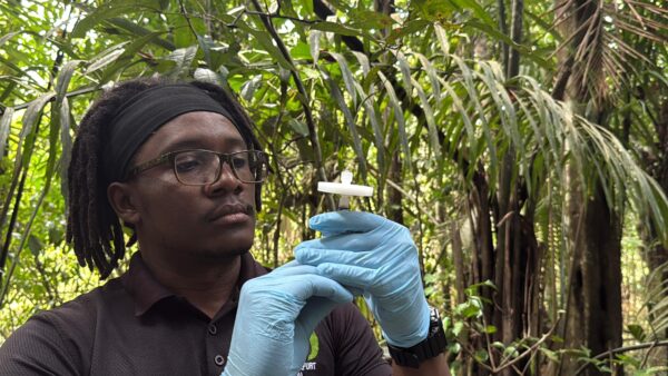 Alex Stewart entnimmt Wasserproben für die Analyse von Umwelt-DNA (eDNA), um die Artenvielfalt in Guyanas Regenwäldern zu erfassen. © Michael Mc Donald