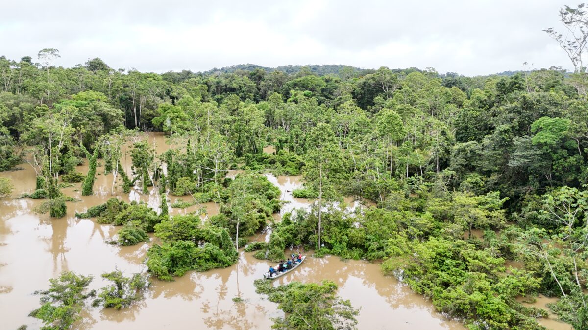 Projektgebiet der ZGF in den Kanuku Mountains, Guyana. Ein Team fährt mit einem Boot durch ein schwer zugängliches Flusssystem im tropischen Regenwald.