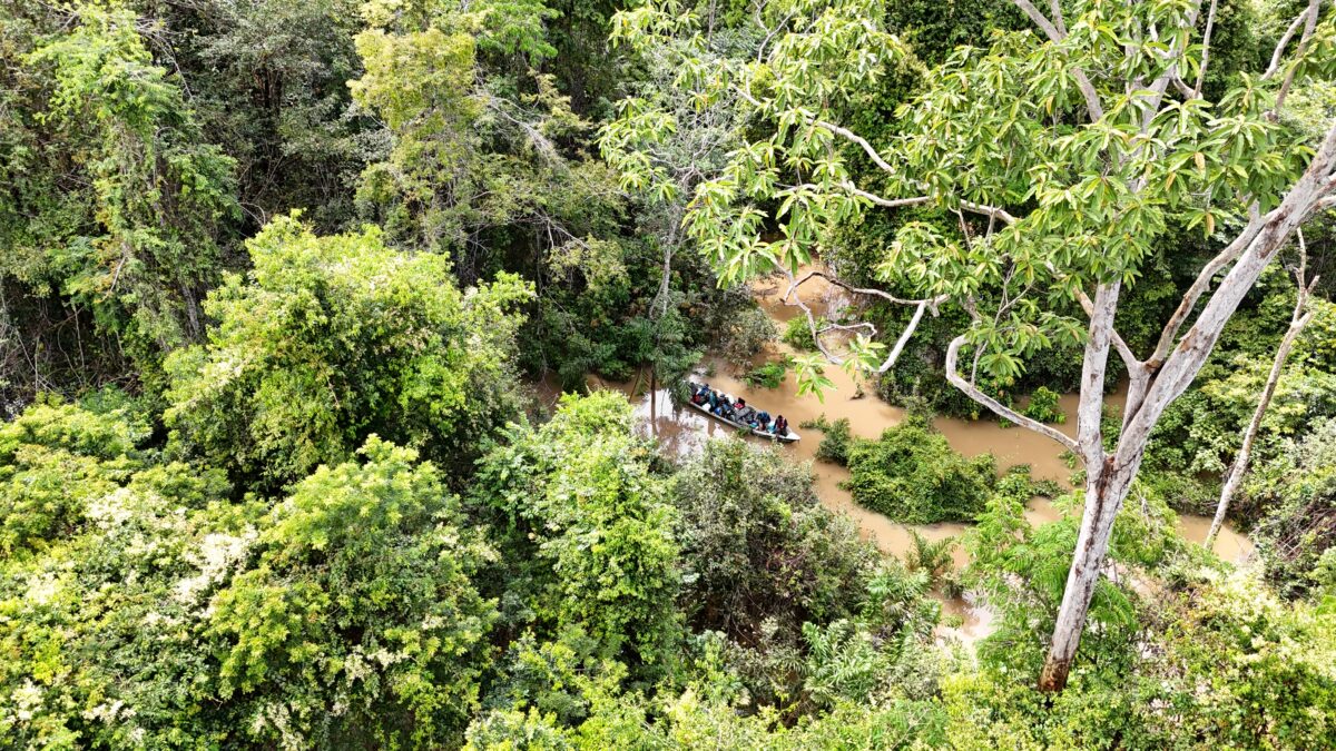 Projektgebiet der ZGF in den Kanuku Mountains, Guyana. Ein Team fährt mit einem Boot durch ein schwer zugängliches Flusssystem im tropischen Regenwald.