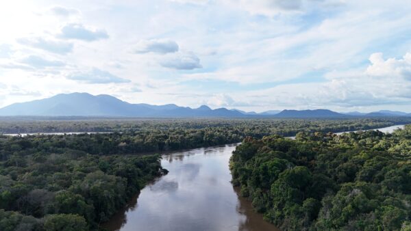 Landschaft in den Kanuku Mountains in Guyana, Projektgebiet der Zoologischen Gesellschaft Frankfurt (ZGF).