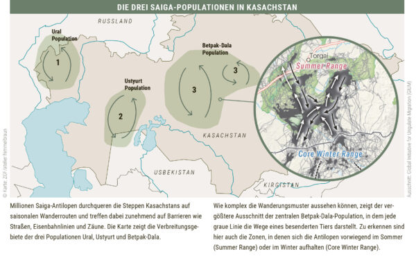 Die drei Saiga-Populationen in Kasachstan