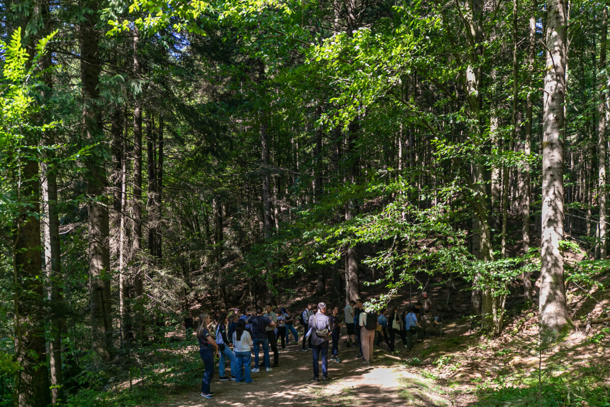 The visiting delegation gathers on a forest trail during a tour of Skolivski Beskydy National Park in the Ukrainian Carpathians.
