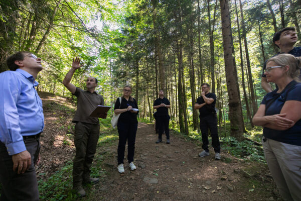 Members of the visiting delegation listen to an explanation while standing in a forest in Skolivski Beskydy National Park.