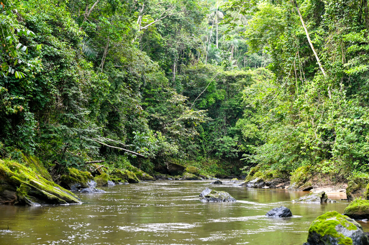 Travelling along the river from Pé da Serra community deeper and upstream in the Serra do Divisor National Park with two smaller wooden boats and smaller engine to get to biological monitoring plot
