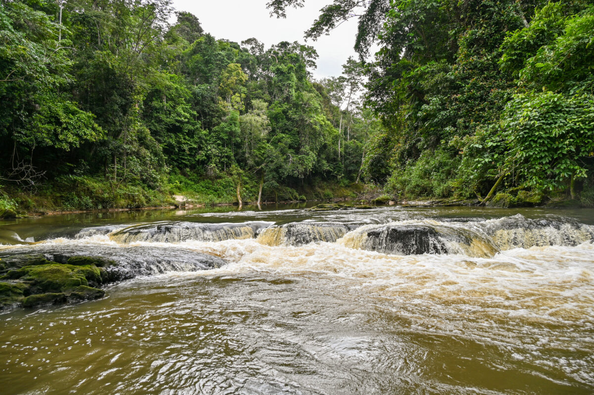 Travelling along the river from Pé da Serra community deeper and upstream in the Serra do Divisor National Park with two smaller wooden boats and smaller engine to get to biological monitoring plot