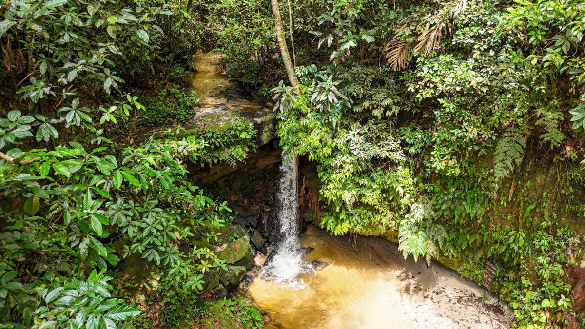 Waterfall in Serra do Divisor National Park