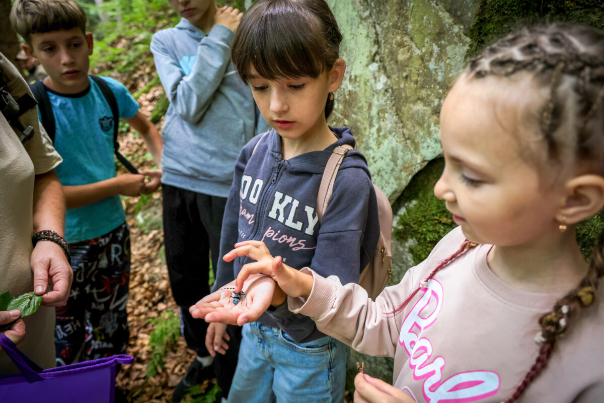 Natur erleben in Zeiten des Krieges: In den ukrainischen Karpaten unterstützt die ZGF Umweltbildungsprogramme, die Kindern die Natur und Artenvielfalt ihrer Heimat näherbringen und ihnen zugleich eine Auszeit vom Kriegsgeschehen ermöglichen. 2025 nahmen mehr als 1.200 Kinder an den Programmen teil.
