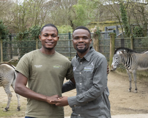 Gift Chambatu (left) and Sturburn Chuma (right), two conservationists from Zambia, standing together at Frankfurt Zoo with zebras in the background.